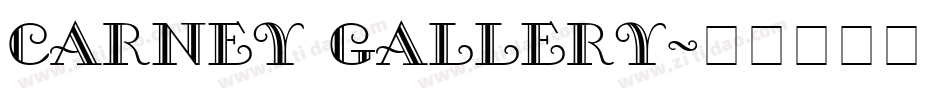 carney gallery字体转换